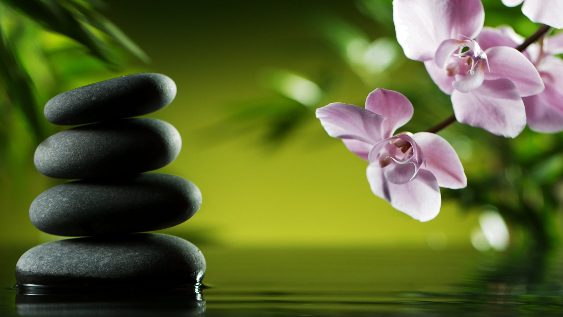 #htmlcaption1 Experience the healing power